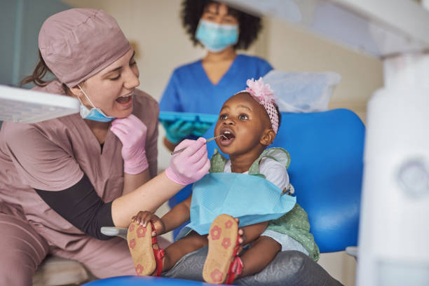 Professional Holistic Dental Care Services in Alamo, CA